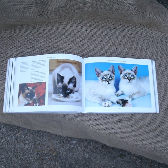 Ultimate Guide to Cat Breeds by Louisa Somerville - Picture 11 of 16